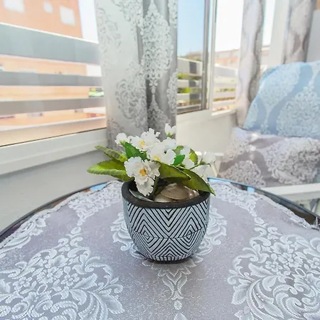 039 Retreat - Alicante